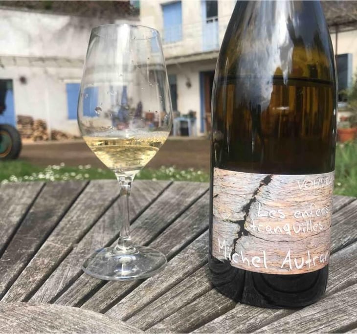 Les Enfers Tranquilles - Michel Autran - Michel Autran 