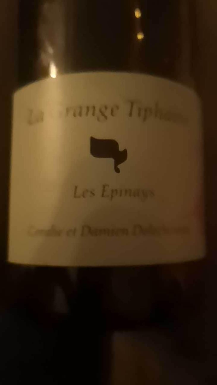 Les Epinays - La Grange Tiphaine - Coralie & Damien Delécheneau 
