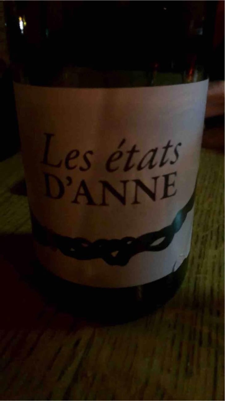 Les Etats d'Anne - Autour de l'Anne - Anne Leclerc Paillet 