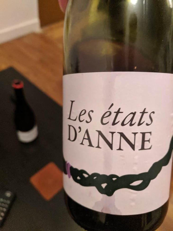 Les Etats d'Anne - Autour de l'Anne - Anne Leclerc Paillet 