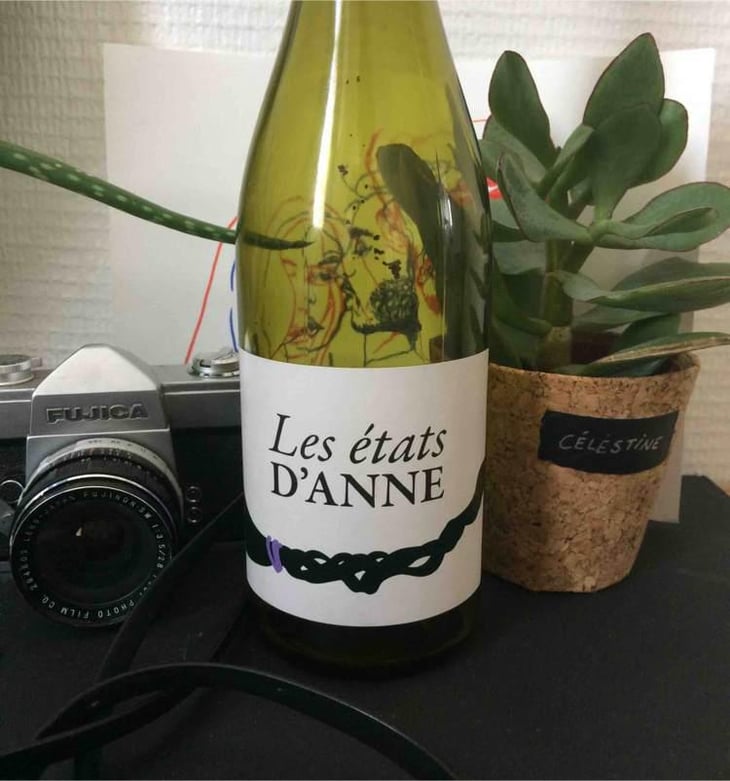 Les Etats d'Anne - Autour de l'Anne - Anne Leclerc Paillet 
