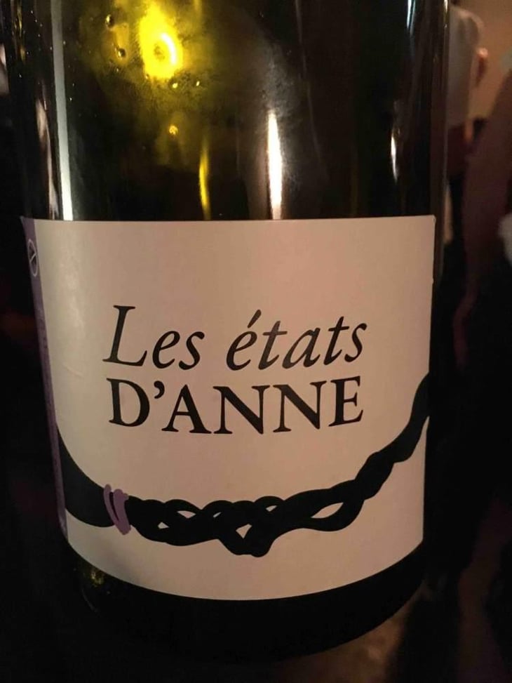 Les Etats d'Anne - Autour de l'Anne - Anne Leclerc Paillet 
