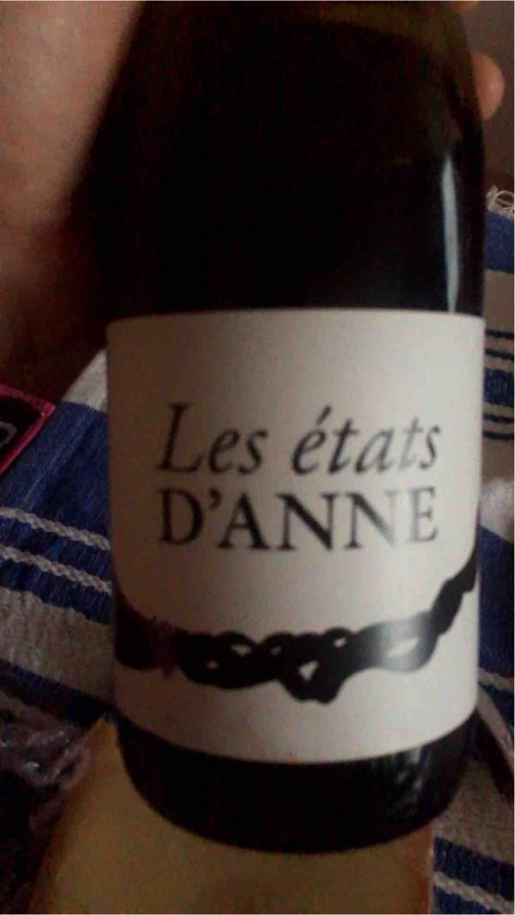Les Etats d'Anne - Autour de l'Anne - Anne Leclerc Paillet 