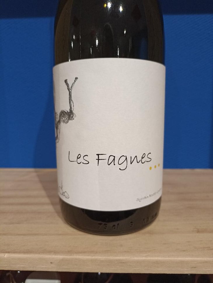 Les Fagnes Blanc - Clos Des Boutes - Sylvain Boutée 