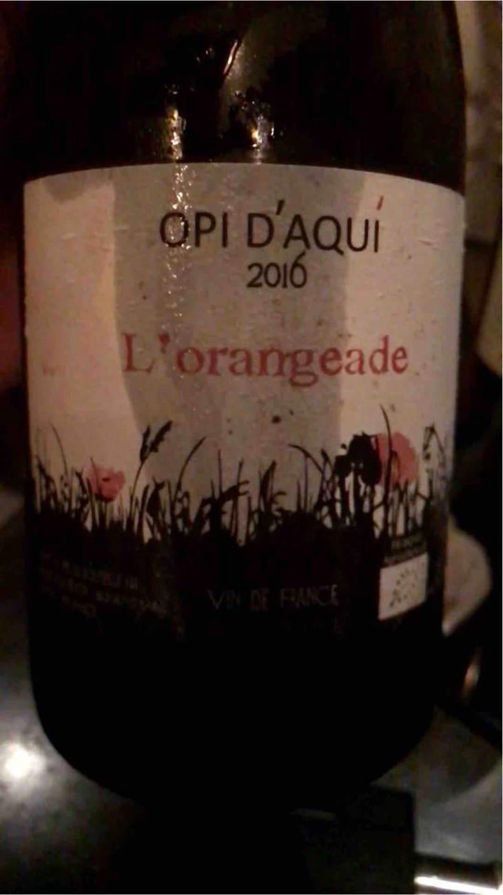 Les Fainéants - Opi d'Aquí - Philippe Formentin 