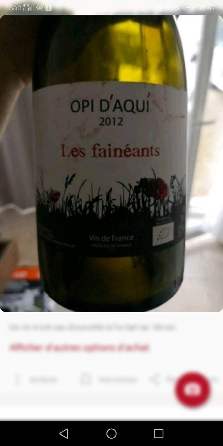 Les Fainéants - Opi d'Aquí - Philippe Formentin 