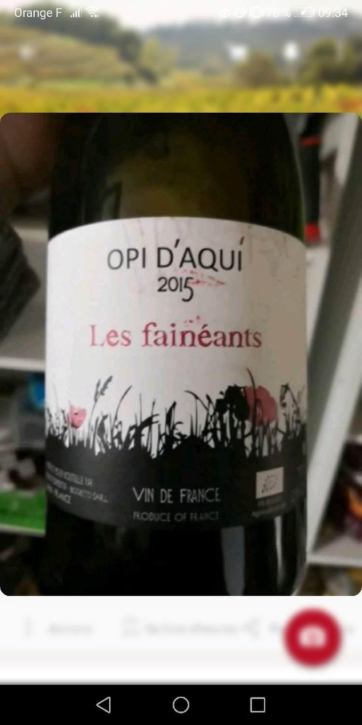 Les Fainéants - Opi d'Aquí - Philippe Formentin 