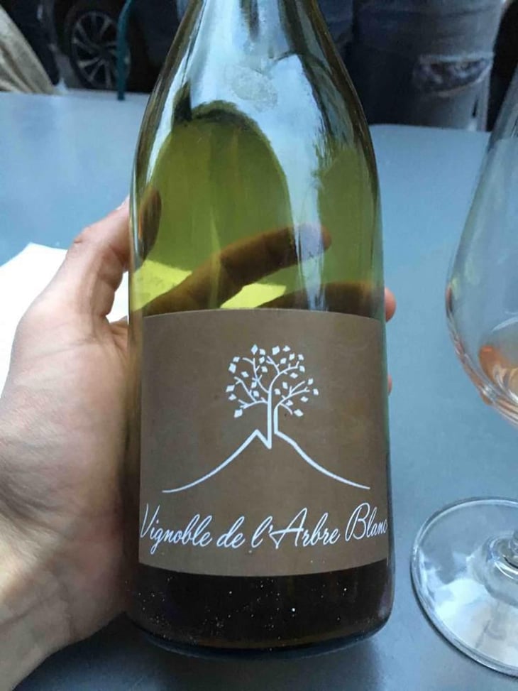 Les Fesses - Domaine de l'Arbre Blanc - Frédéric Gounan 