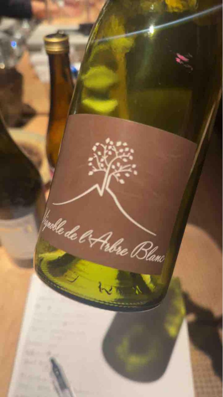 Les Fesses - Domaine de l'Arbre Blanc - Frédéric Gounan 