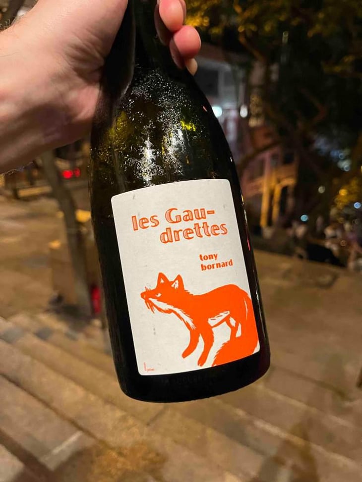 Les Gaudrettes - Domaine Bornard - Tony Bornard 