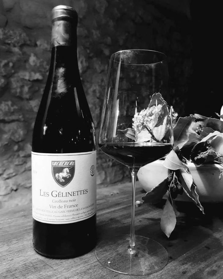 Les Gélinettes - La Ferme de la Sansonnière - Mark & Martial Angeli et Bruno Ciofi 