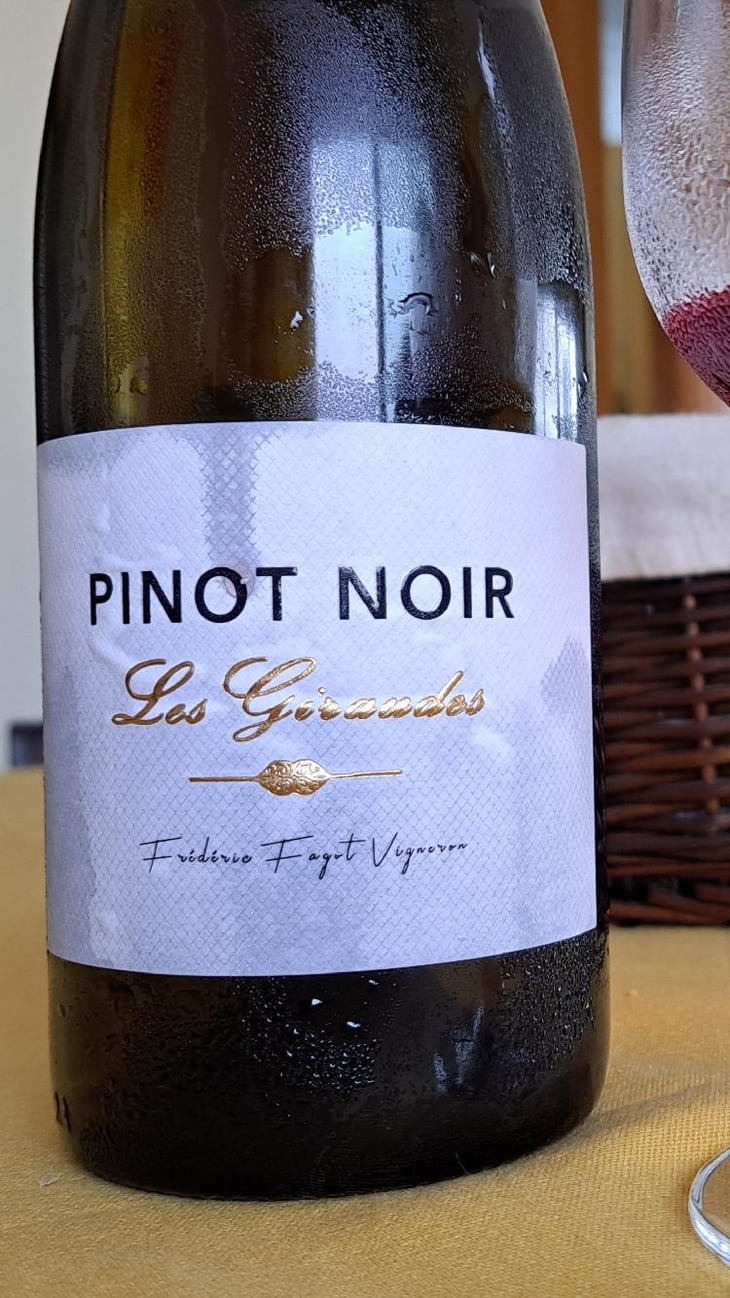 Les Giraudes Pinot Noir - Vignobles Fagot - Frédéric Fagot -2021