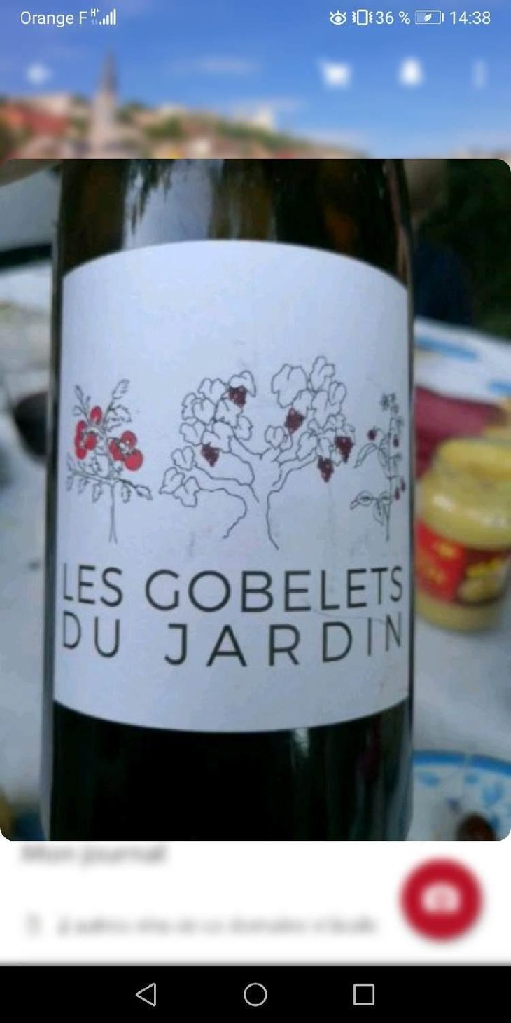 Les Gobelets Du Jardin - Domaine du Petit Oratoire - Lori Haon 