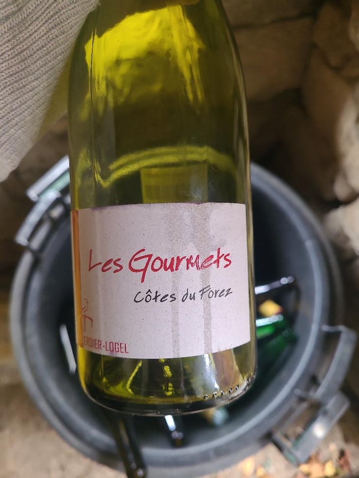 Les Gourmets Rouge - Cave Verdier-Logel - Maxime Gillier, Jacky ,Julie & Odile Logel 