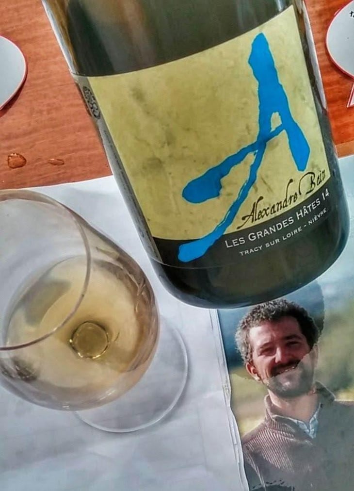 Les Grandes Hâtes - Domaine Alexandre Bain - Alexandre Bain 