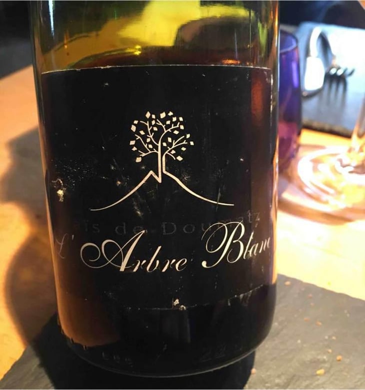 Les Grandes Orgues - Domaine de l'Arbre Blanc - Frédéric Gounan 
