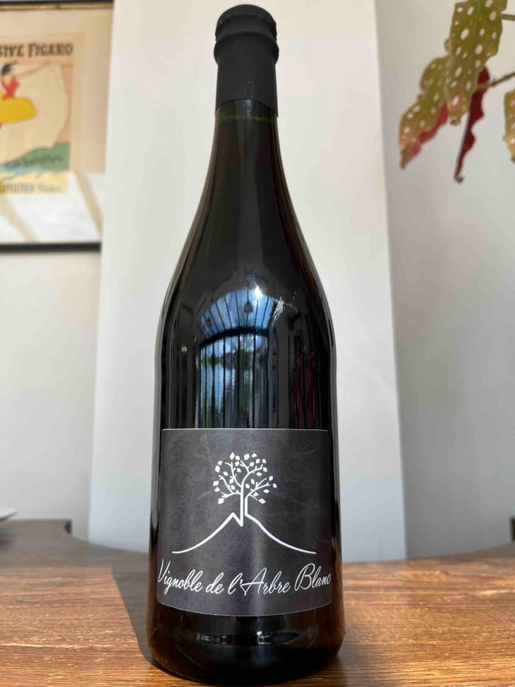 Les Grandes Orgues - Domaine de l'Arbre Blanc - Frédéric Gounan 