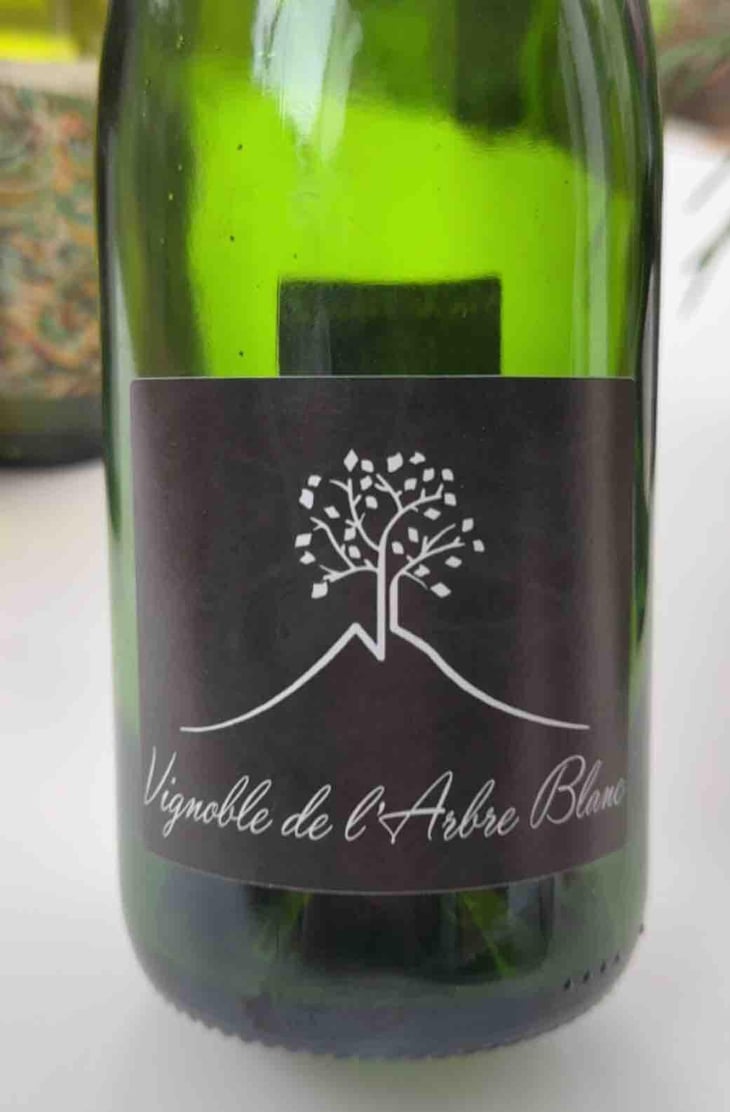 Les Grandes Orgues - Domaine de l'Arbre Blanc - Frédéric Gounan 