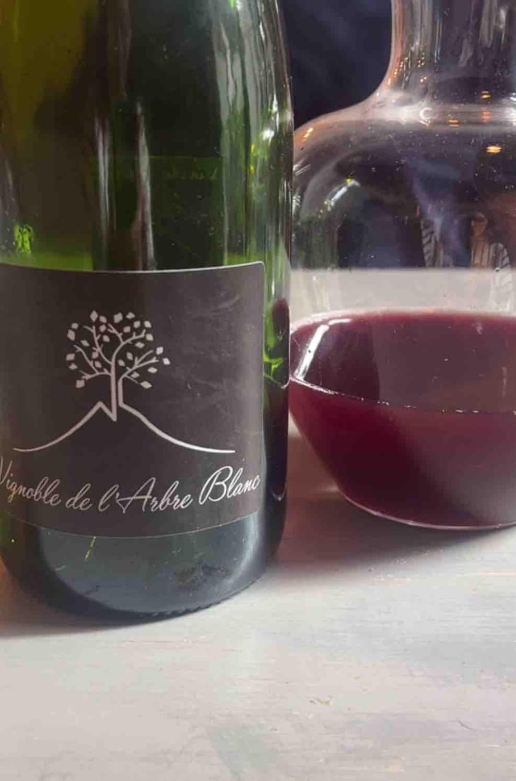 Les Grandes Orgues - Domaine de l'Arbre Blanc - Frédéric Gounan 