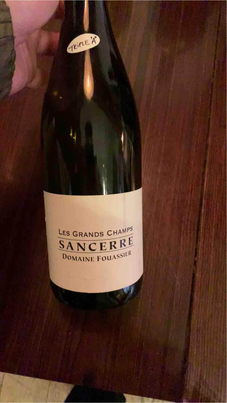 Les Grands Champs - Domaine Fouassier - Benoit & Paul Fouassier 