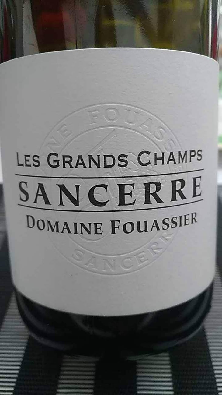 Les Grands Champs - Domaine Fouassier - Benoit & Paul Fouassier 