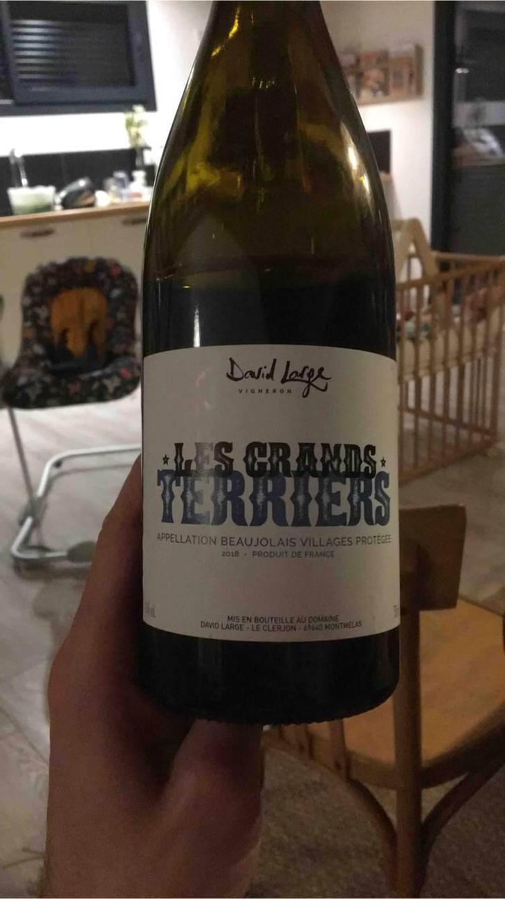 Les Grands Terriers - David Large - Célia Rostand et David Large 