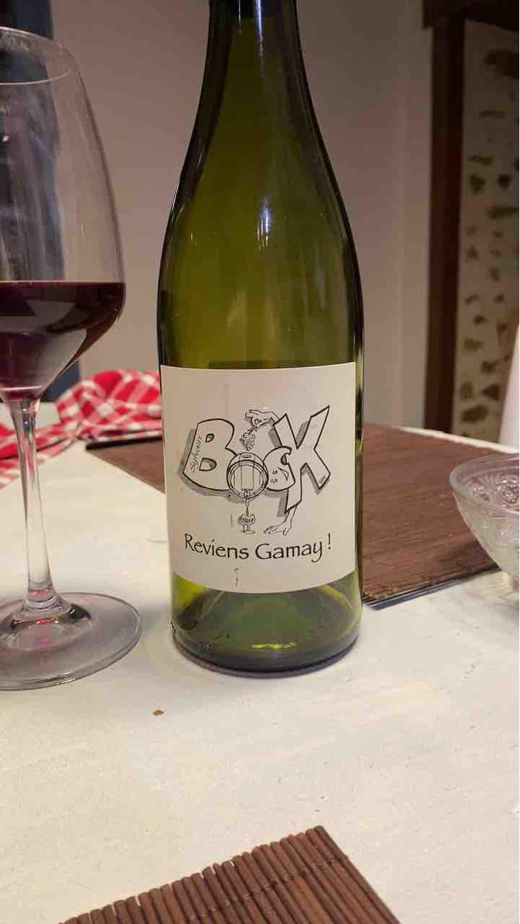 Reviens Gamay ! - Sylvain Bock - Sylvain Bock 