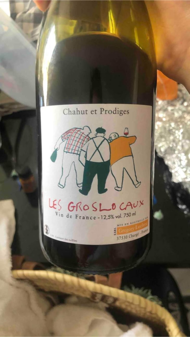 Les Gros Locaux - Chahut et Prodiges - Gregory Leclerc 