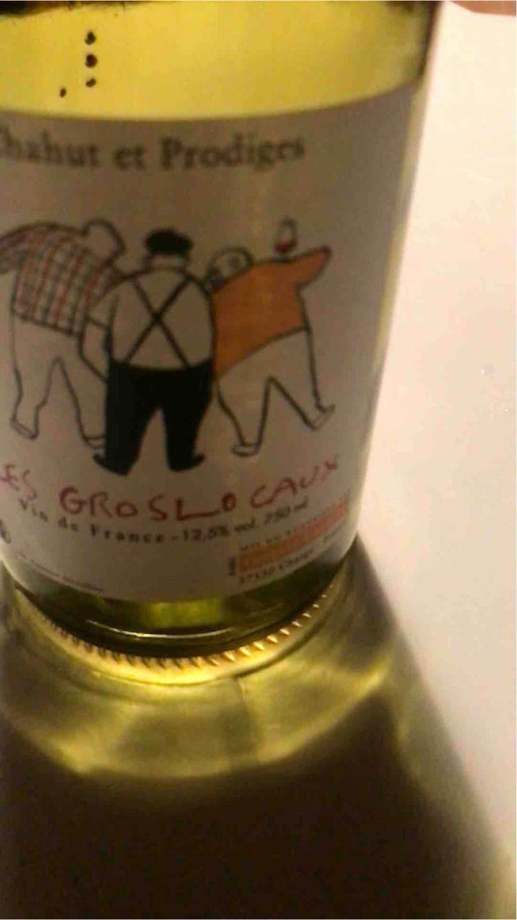 Les Gros Locaux - Chahut et Prodiges - Gregory Leclerc 