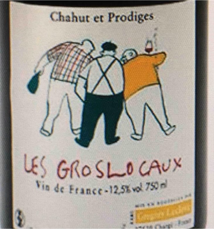 Les Gros Locaux - Chahut et Prodiges - Gregory Leclerc 