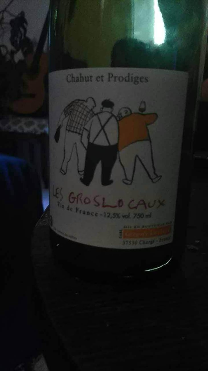 Les Gros Locaux - Chahut et Prodiges - Gregory Leclerc 