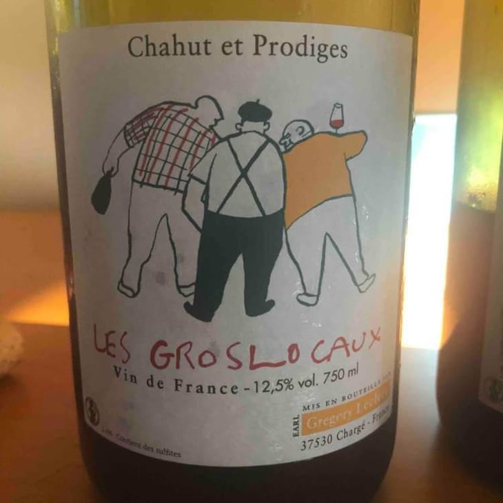Les Gros Locaux - Chahut et Prodiges - Gregory Leclerc 