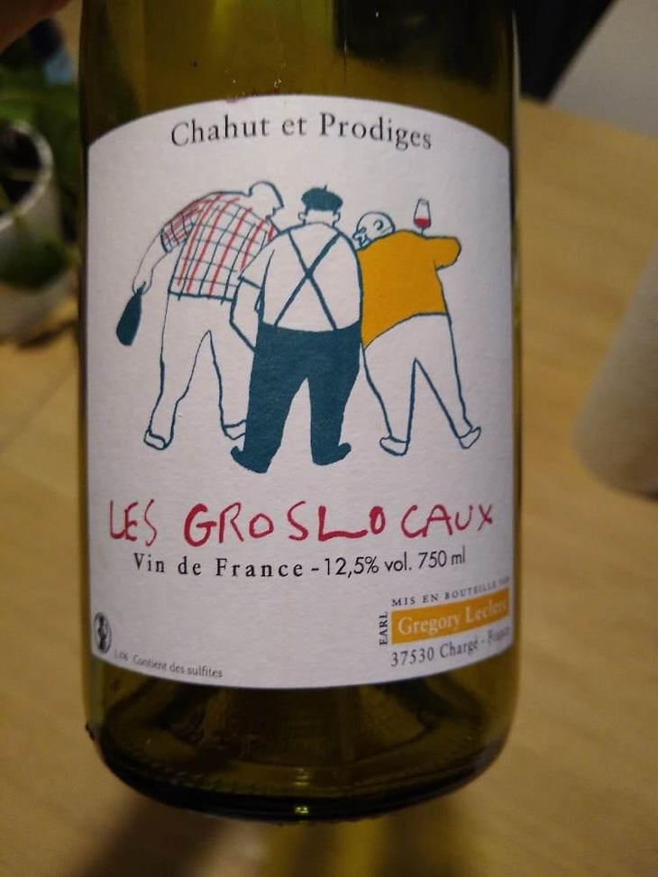 Les Gros Locaux - Chahut et Prodiges - Gregory Leclerc 