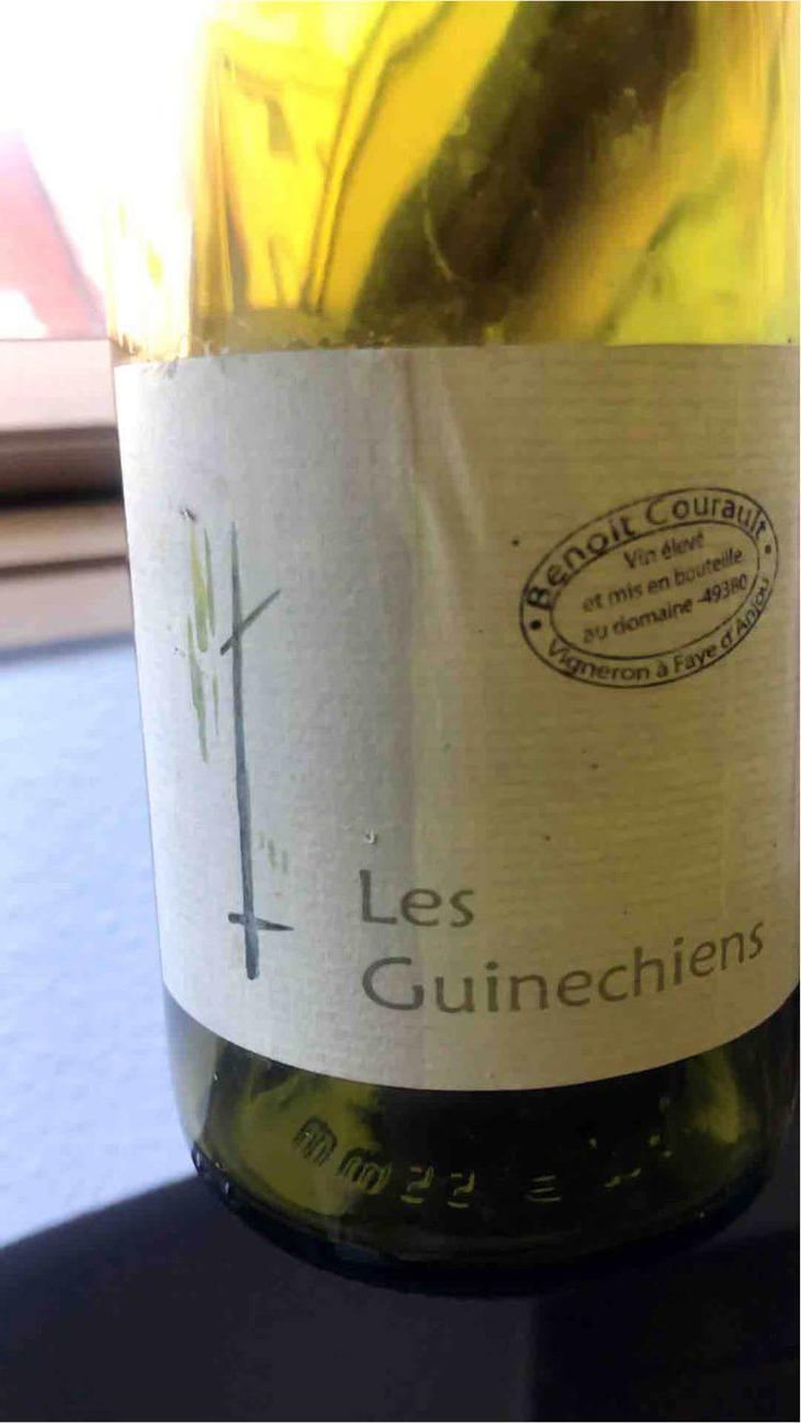 Les Guinechiens - Benoît Courault - Benoît Courault 
