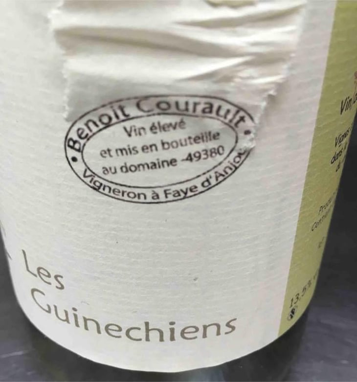 Les Guinechiens - Benoît Courault - Benoît Courault 