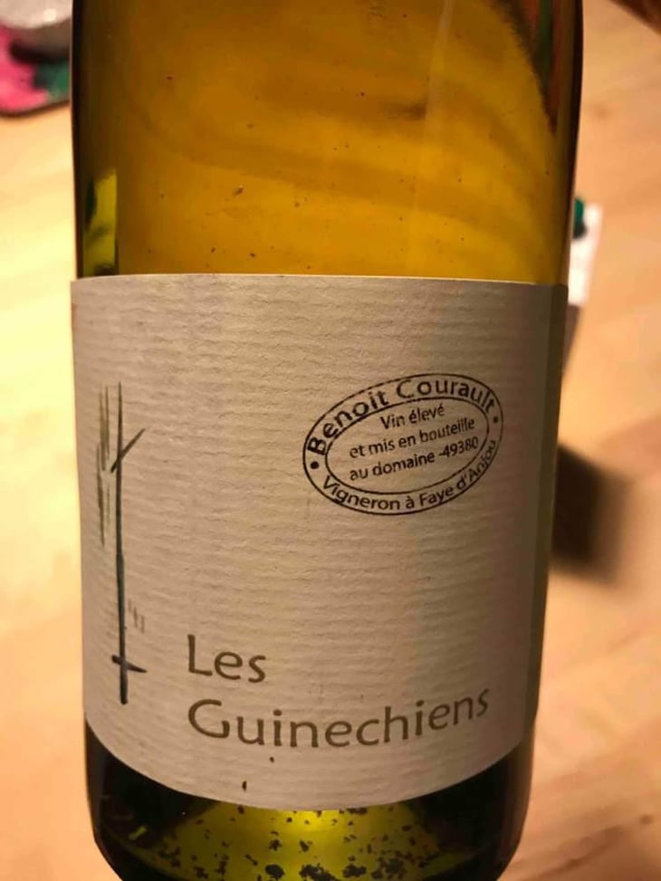 Les Guinechiens - Benoît Courault - Benoît Courault 