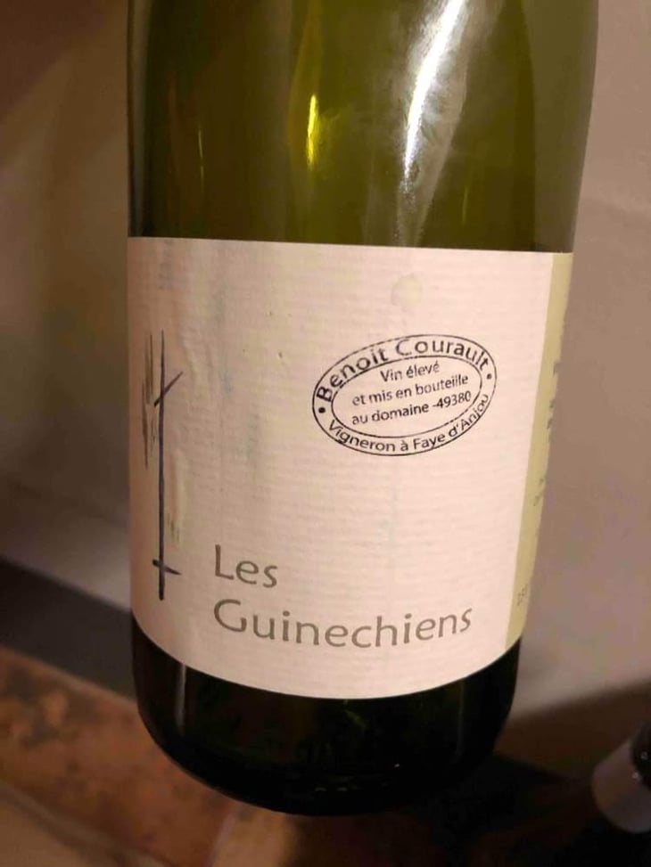 Les Guinechiens - Benoît Courault - Benoît Courault 
