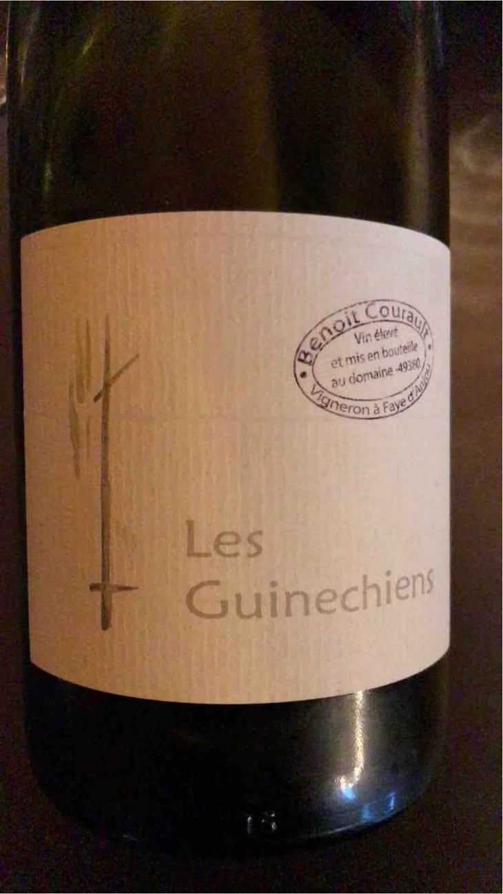 Les Guinechiens - Benoît Courault - Benoît Courault 
