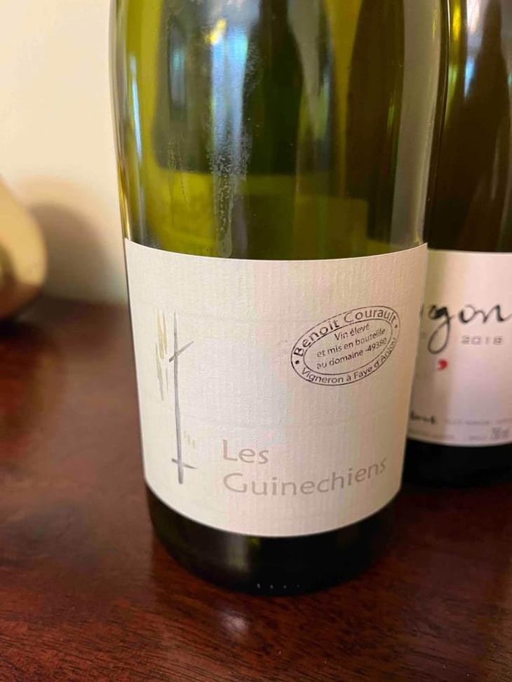 Les Guinechiens - Benoît Courault - Benoît Courault 
