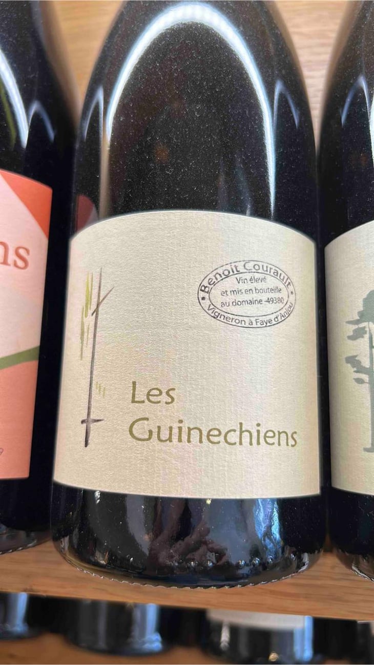 Les Guinechiens - Benoît Courault - Benoît Courault 