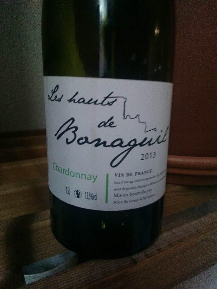 Les Hauts de Bonaguil - Chardonnay Orange - Domaine de Bonaguil - Barbora et Daniel Donath 