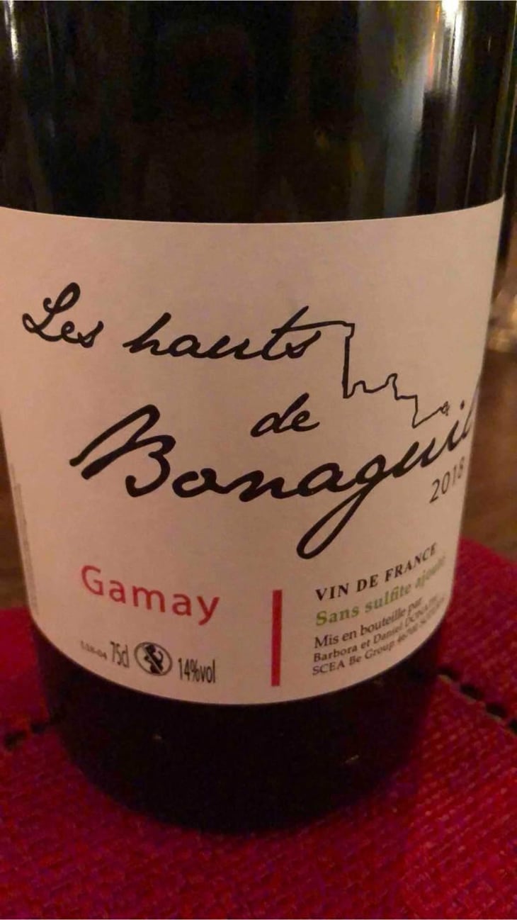 Les Hauts de Bonaguil - Gamay - Domaine de Bonaguil - Barbora et Daniel Donath 