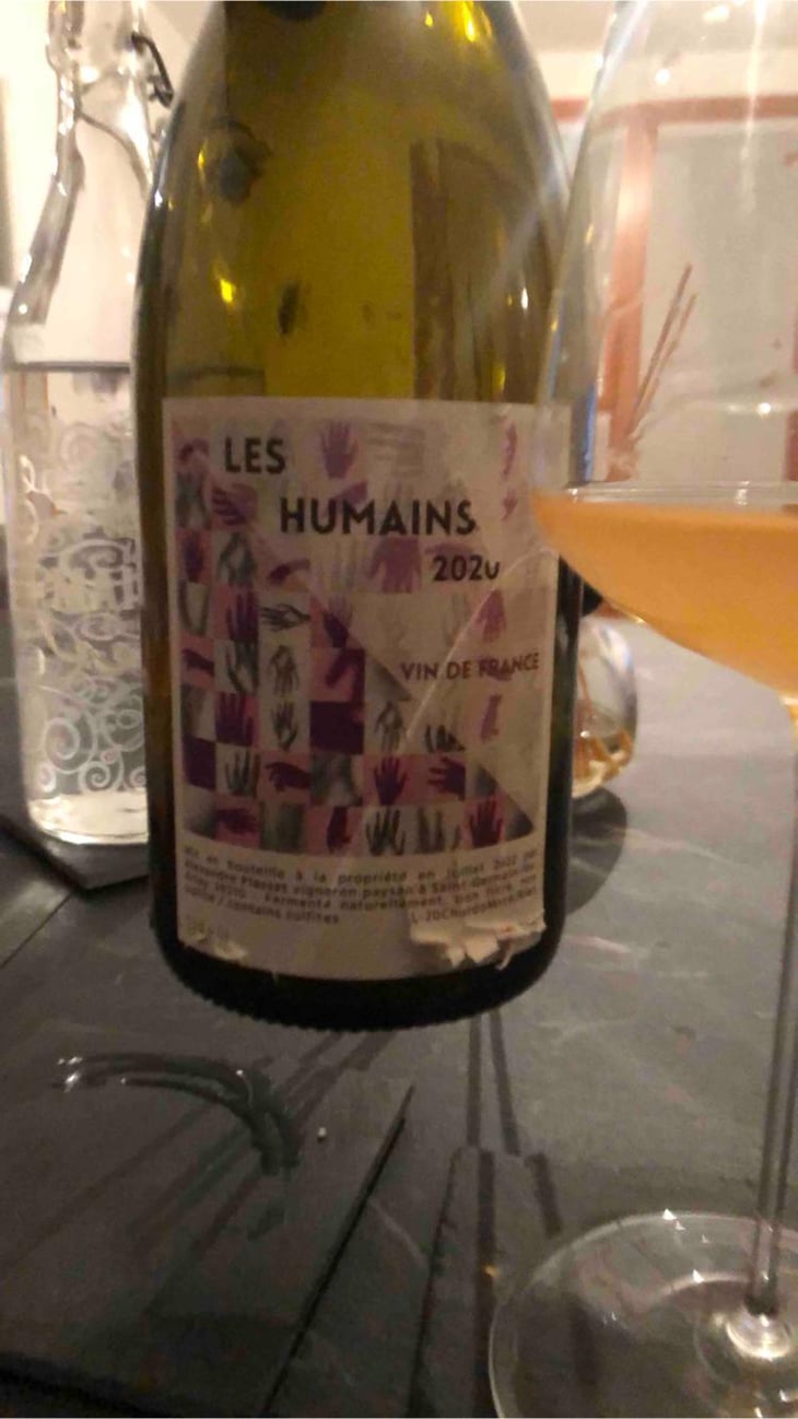 Les Humains - Alexandre Plassat - Alexandre Plassat -2022