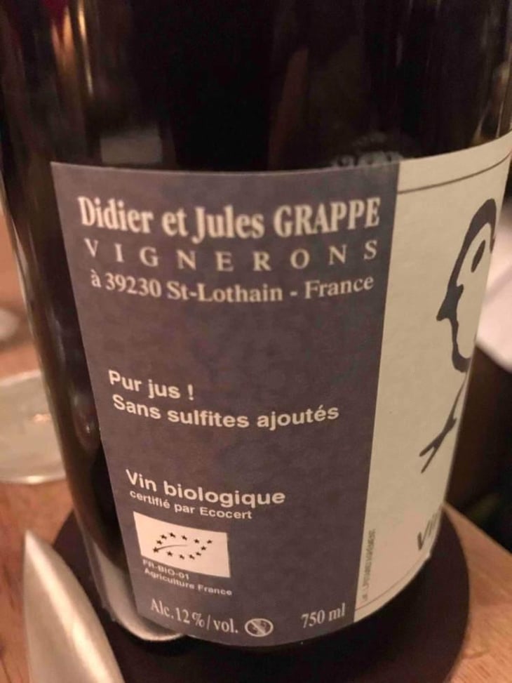 Les Insouciantes - Didier Grappe - Didier et Jules Grappe 
