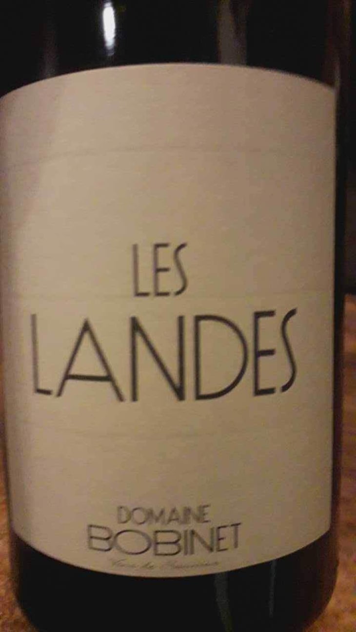 Les Landes - Domaine Calvez-Bobinet - Sébastien Bobinet & Emeline Calvez 