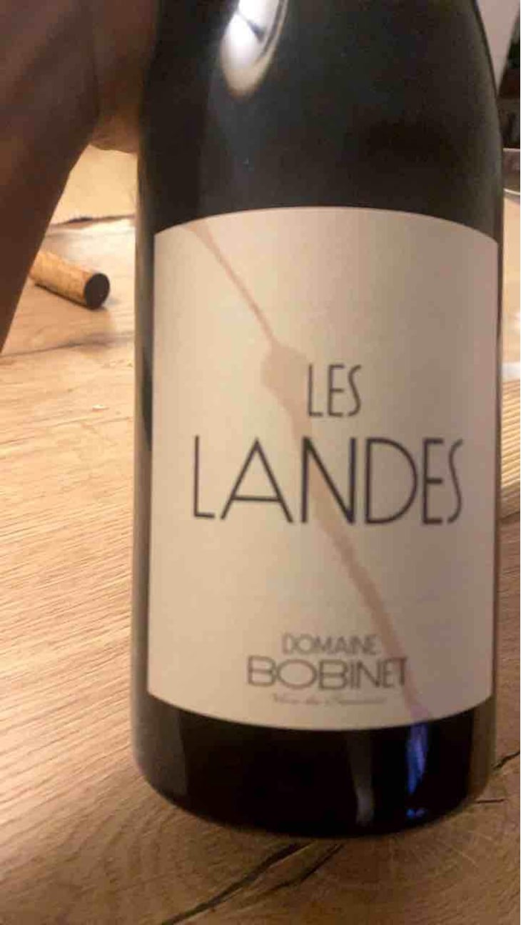 Les Landes - Domaine Calvez-Bobinet - Sébastien Bobinet & Emeline Calvez 