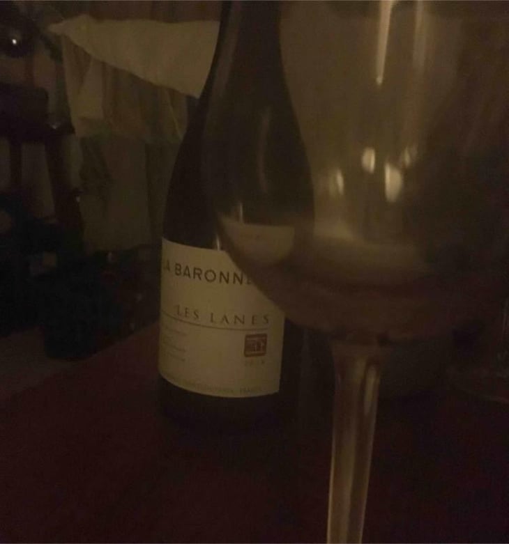 Les Lanes - Château la Baronne - Famille Lignères 