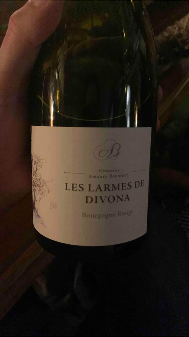 Les Larmes de Divona - Domaine Amaury Beaufort - Amaury Beaufort 