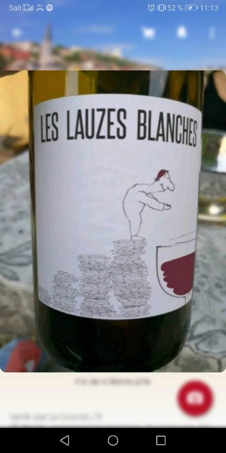 Les Lauzes Blanches - Domaine du Petit Oratoire - Lori Haon 