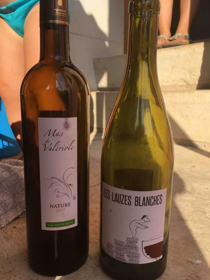 Les Lauzes Blanches - Domaine du Petit Oratoire - Lori Haon 